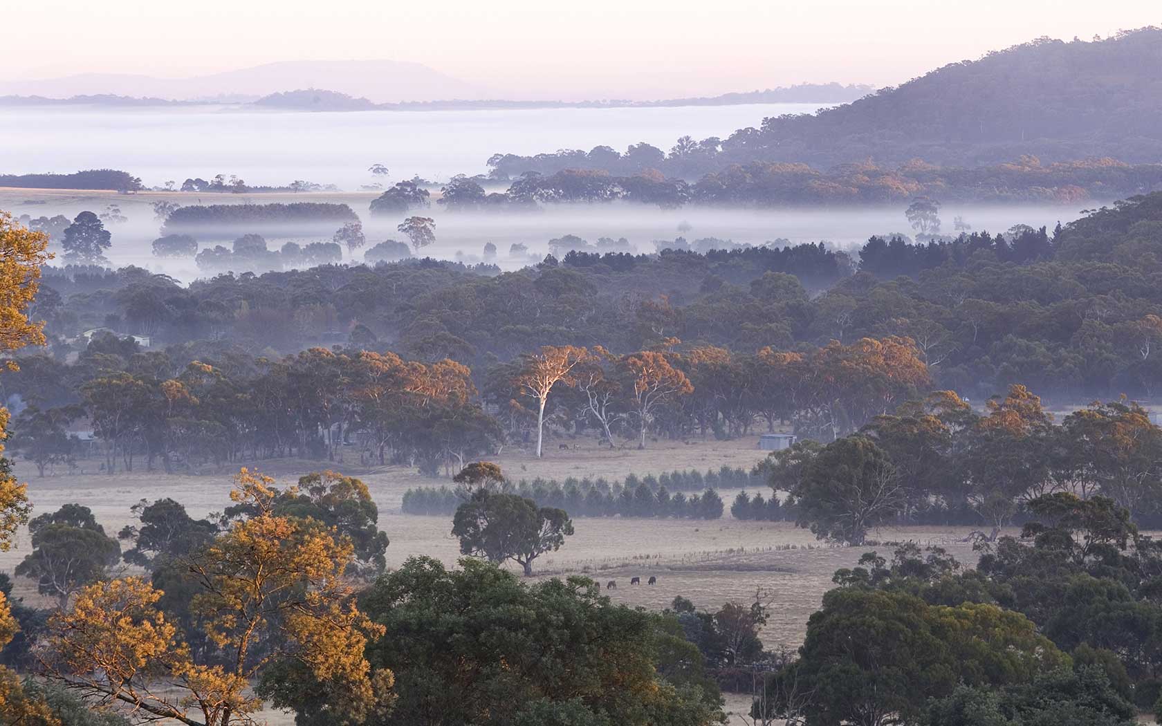 macedon-ranges-lead-2872598867